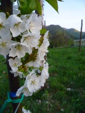  Les curiosités locales - Agricoltura Biologica L'Ostal 